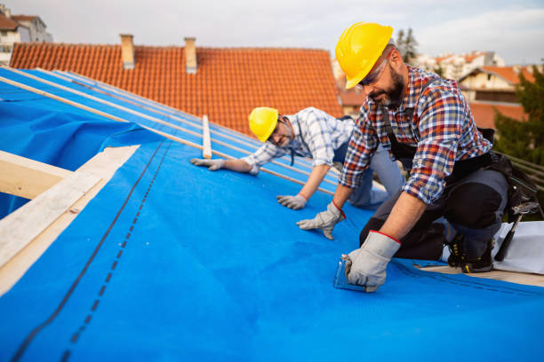 Best Roof Insulation Installation  in Rosewood Heights, IL